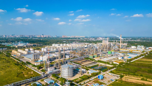 1770881217736816.png 32911870-0a9f-4209-9ede-cc3c4400a785(1).png